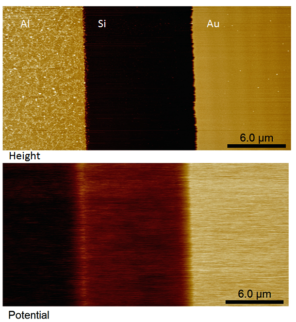 Height (top) and potential (bottom) images using PeakForce KPFM on a Au- Si-Al strips sample.