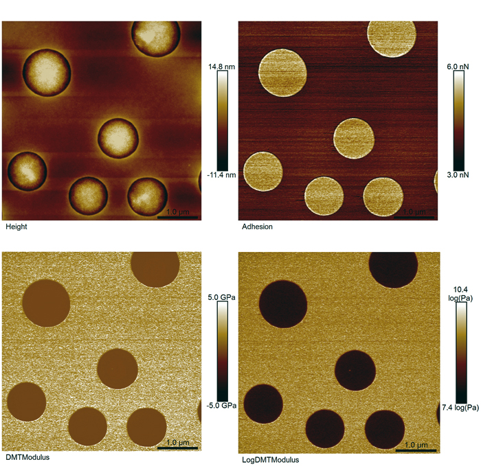 Height image of a PS+LDPE blend sample with respective adhesion and modulus maps.