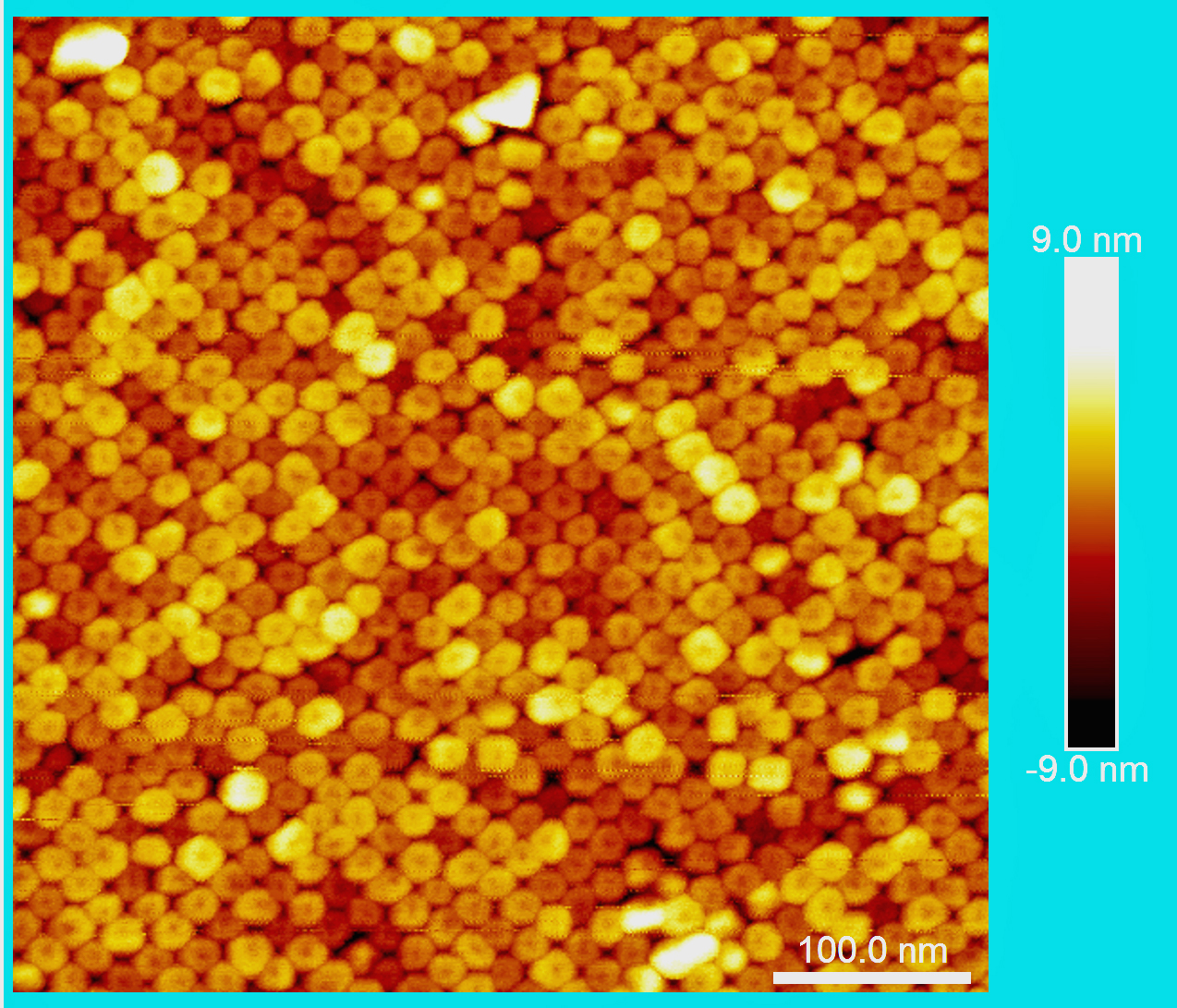 AFM image of the as-synthesized Co.