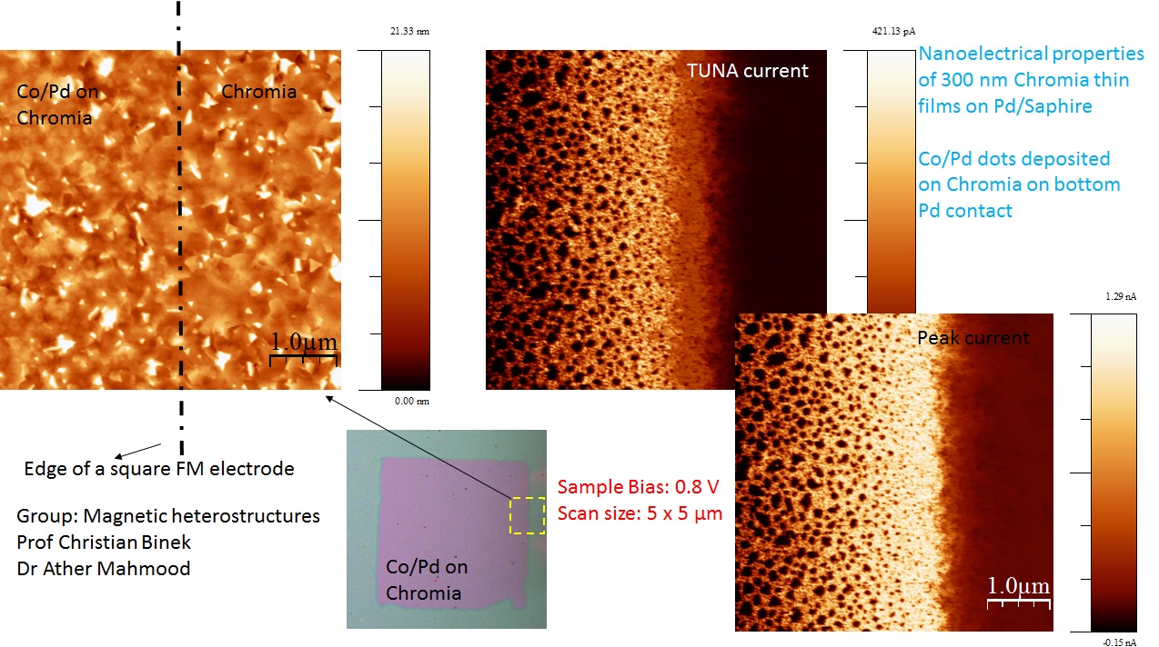 Topographic and current images of Co/Pd dots deposited on Chromia sample using PeakForce TUNA.