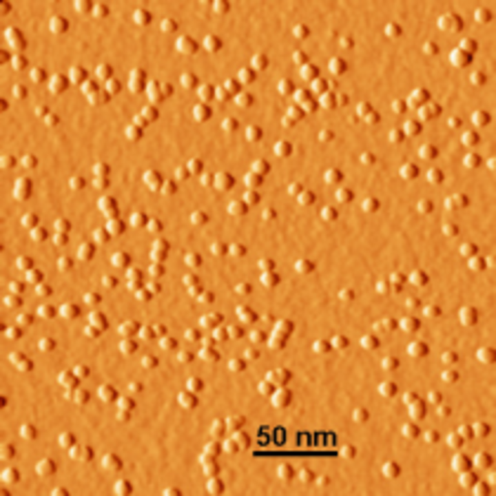AFM image of sub-10nm Fe clusters.