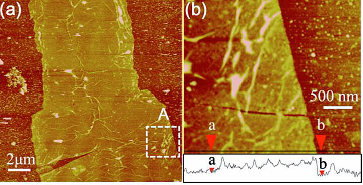 Surface topography of a graphene pattern on a SiO2 / Si wafer.