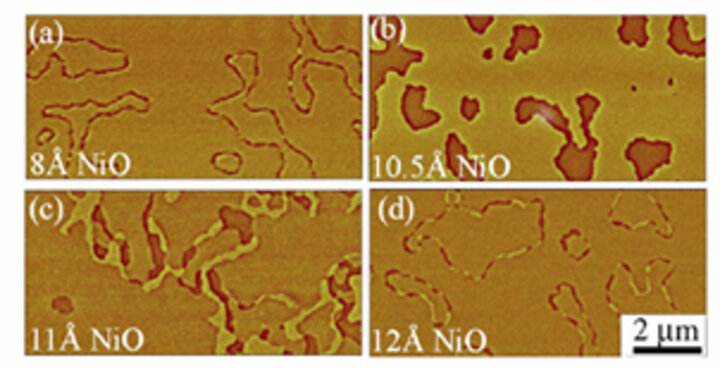 MFM domain images of Co/Pt multi-layers with 8, 10.5, 11, and 12 Å NiO interlayers.
